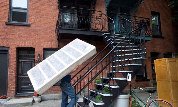 Rent Prices Hit Record High Across Canada, New Report Finds