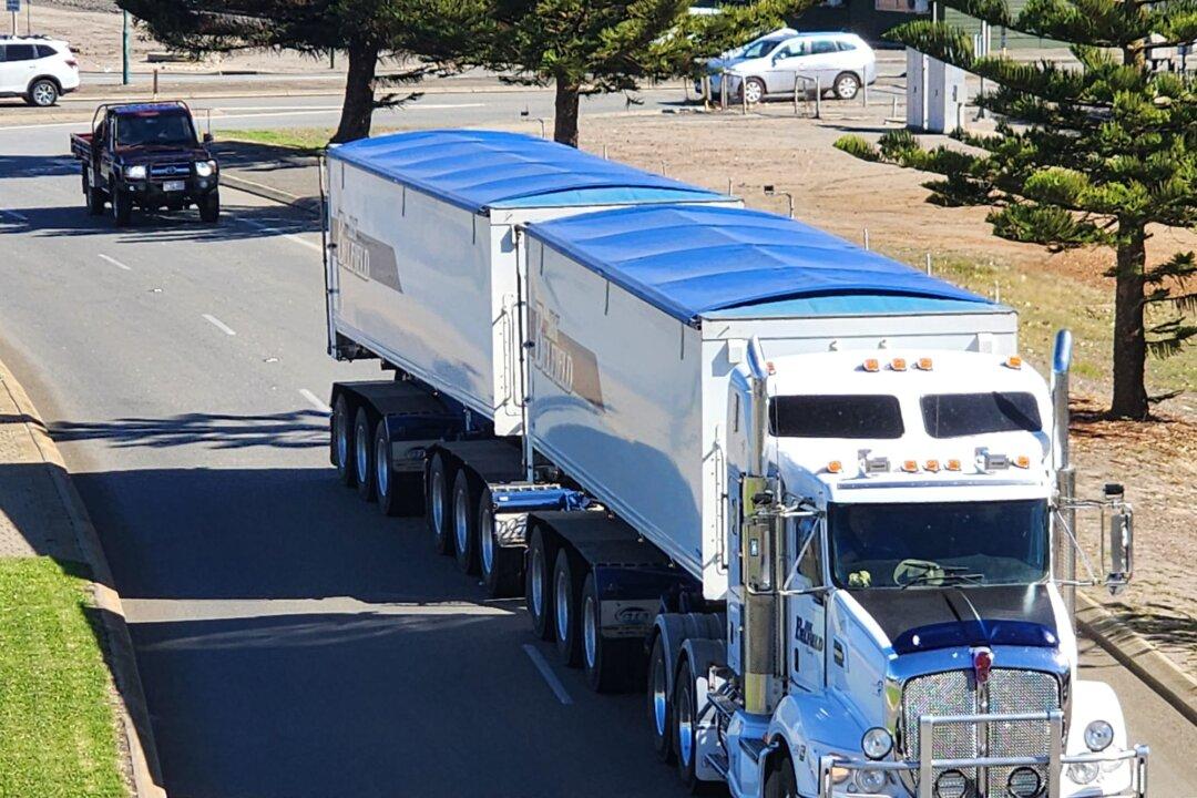 Massive Truck Convoy Protests Ban on Live Sheep Exports
