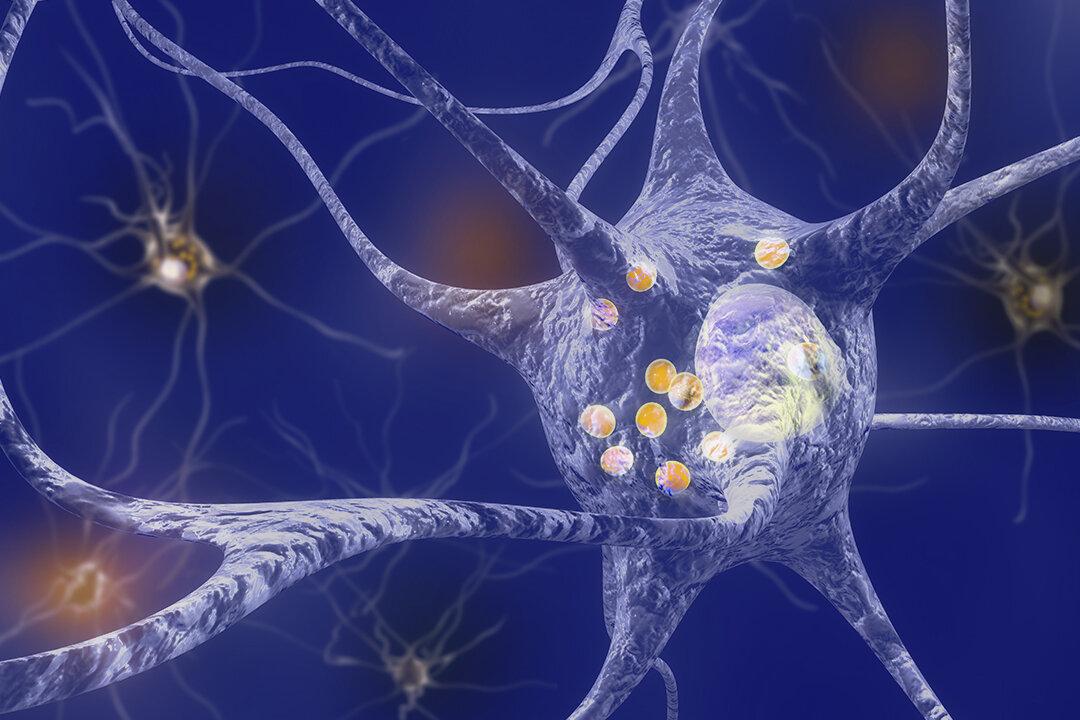 5 Focused Exercises to Help Manage Parkinson’s Disease
