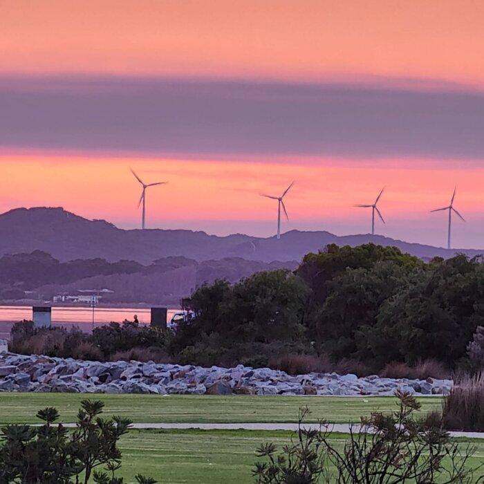 Regional MPs Warn Power Grid At Risk After Net Zero Authority Clears Lower House