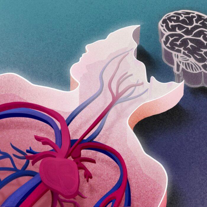 Brain Dead People May Not Be Dead–Here’s Why