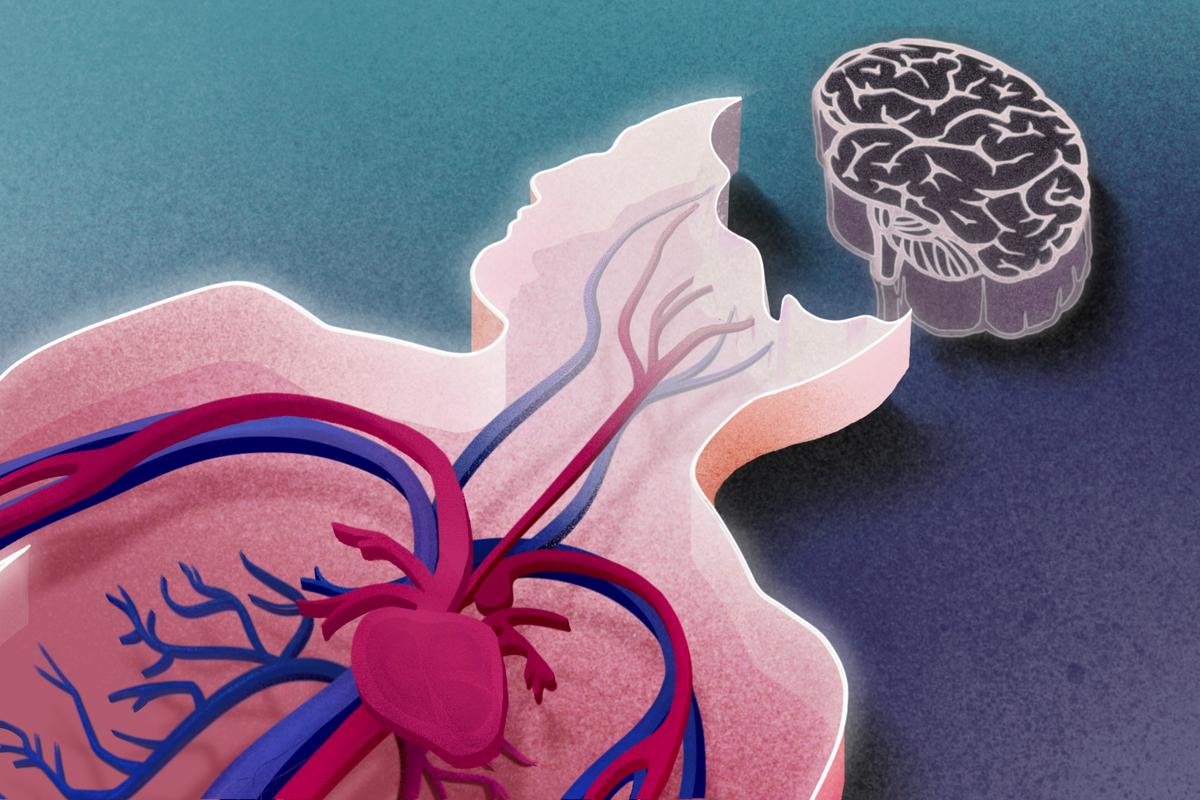Brain Dead People May Not Be Dead–Here’s Why thumbnail