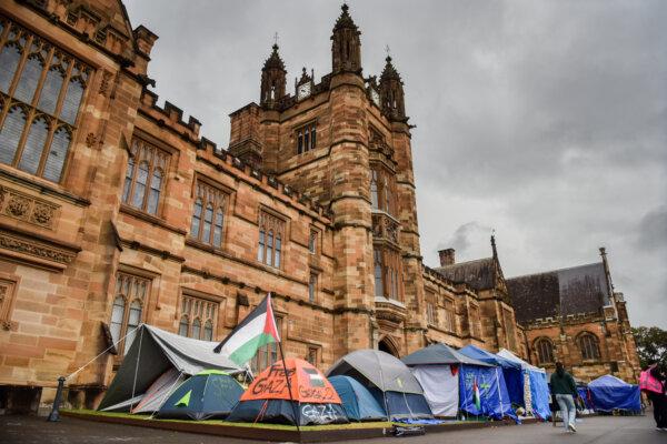 Universities Protecting Freedom of Speech Amid Campus Protests: Secretary